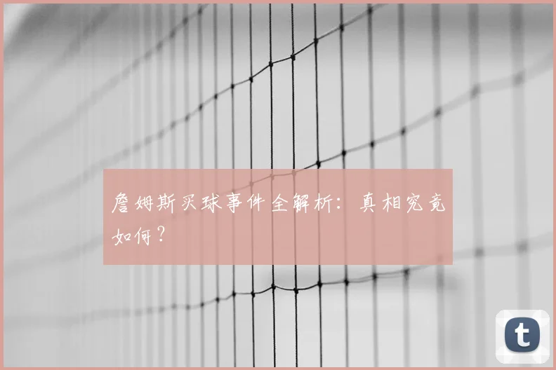 詹姆斯买球事件全解析：真相究竟如何？