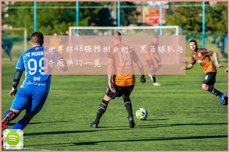 世界杯48强预测分析：黑马球队与夺冠热门一览