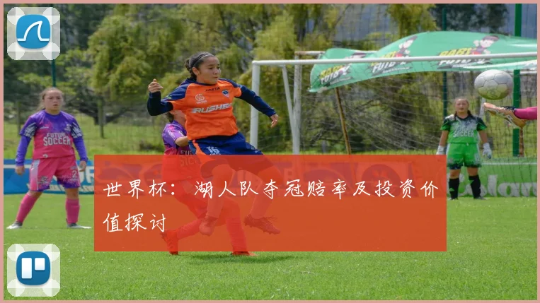 世界杯：湖人队夺冠赔率及投资价值探讨
