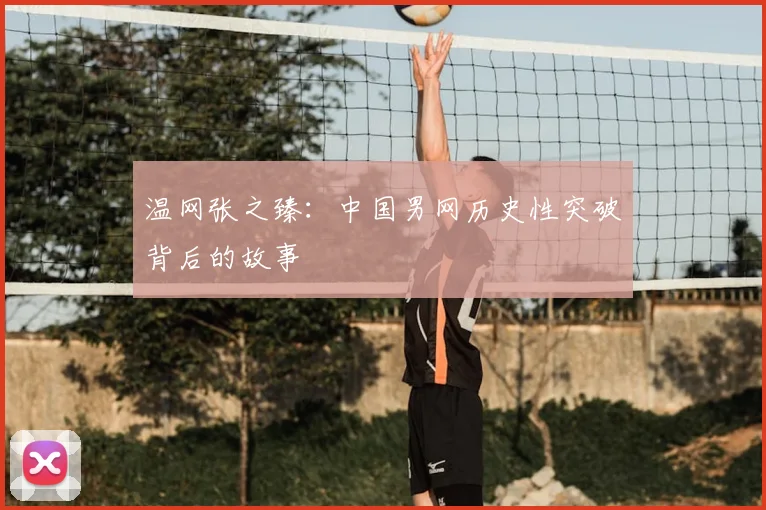 温网张之臻:中国男网历史性突破背后的故事