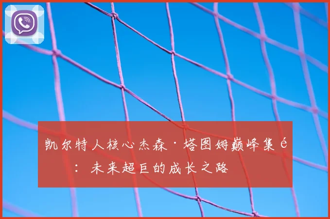 凯尔特人核心杰森·塔图姆巅峰集锦：未来超巨的成长之路